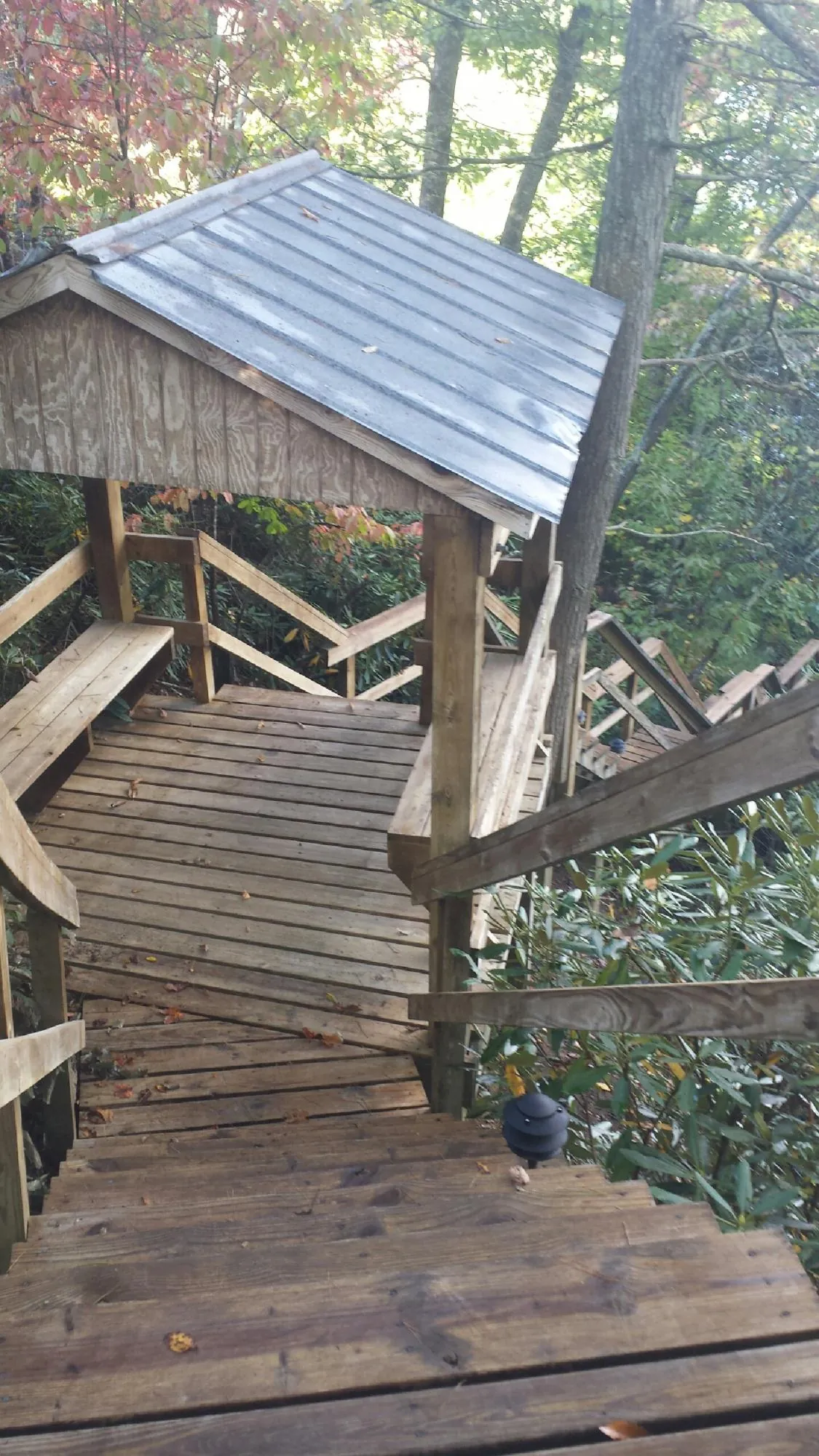 Metal roofed shelter over wooden steps on a wooded walkway — Skylight Repair & Installation work by our crew in Porterville
